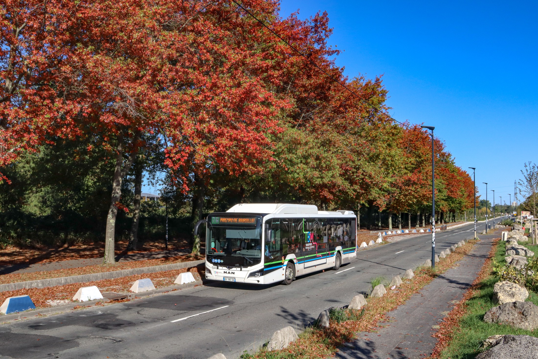 Bannière 1
